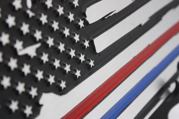 License Plate - Thin Red & Blue Line -American Flag- Side view