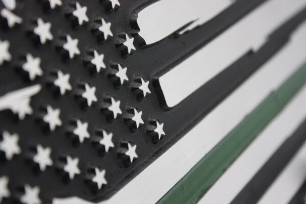 License Plate - Thin Green Line - American Flag